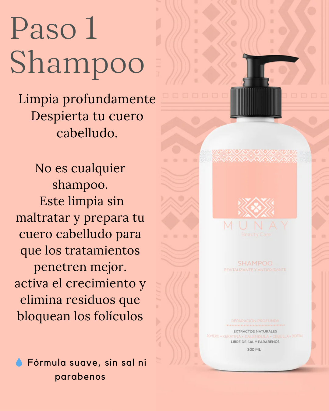 Shampoo Revitalizante y Antioxidante Munay